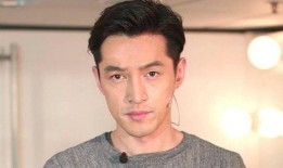 老王爆料胡歌视频完整版,老王独家爆料背后的故事