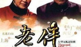 电视剧 老伴 在线观看,温情岁月里的相伴人生